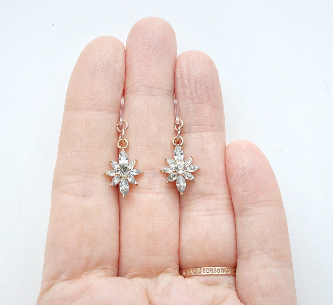 Fancy Charm Earrings